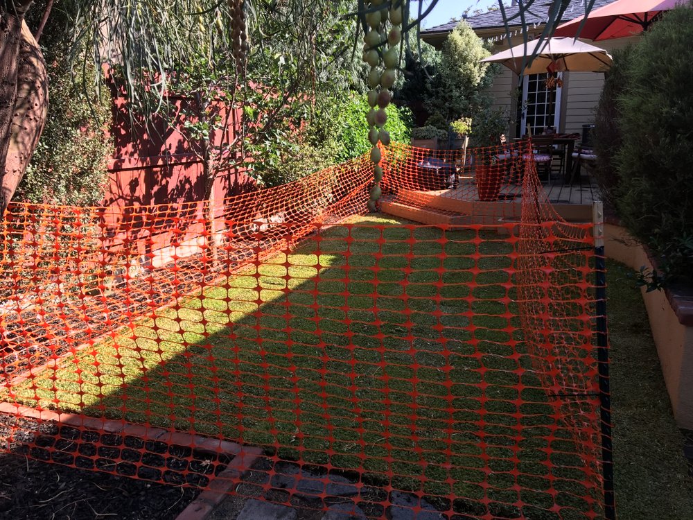 Sod Protection & Landscape · Kensington