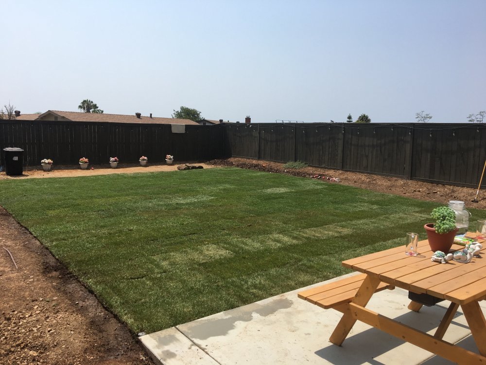 Backyard Sod & Fence Stain · Mira Mesa